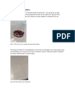 Observaciones y Resultados