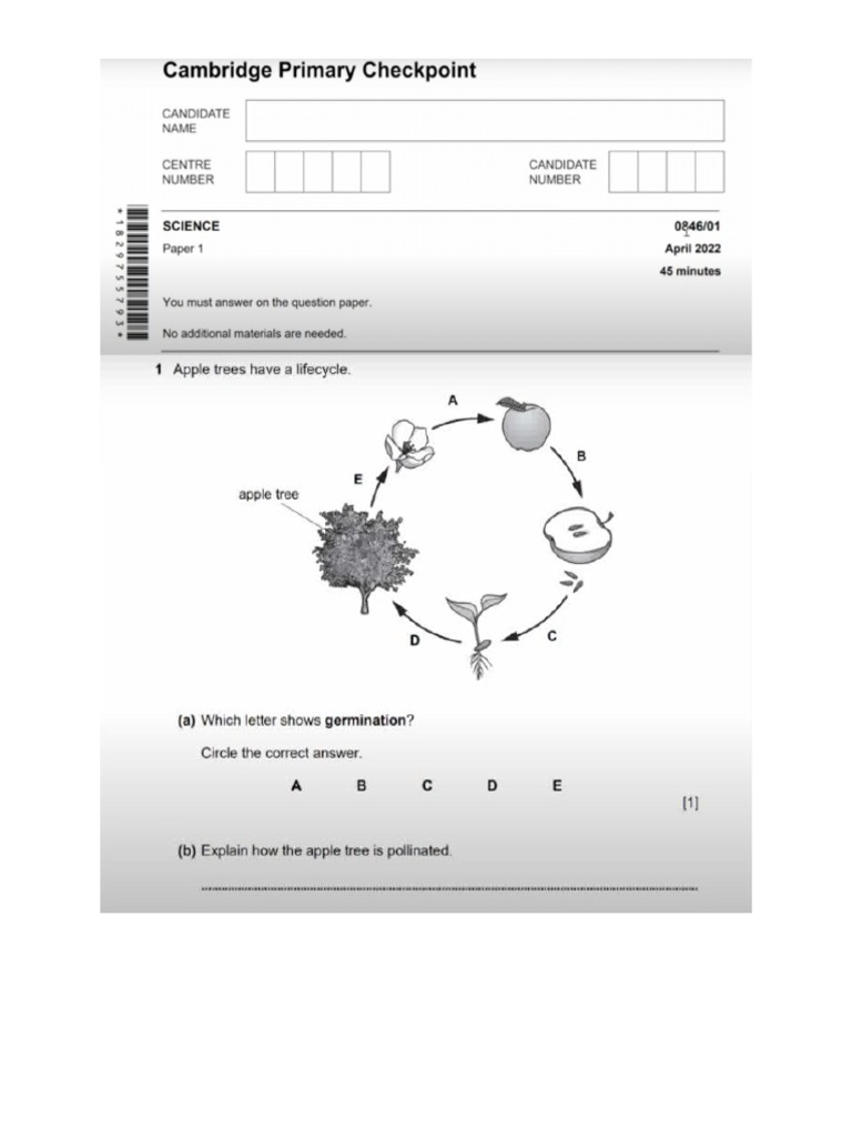 Cambridge visual data 4
