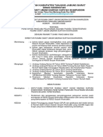 SK Panduan Asuhan Pasien Secara Terintegrasi PDF