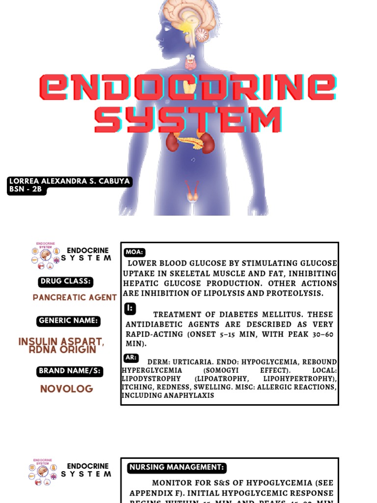Endo Drug Study PDF Hypoglycemia Diabetes