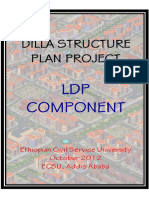 Developing a Local Development Plan for Dilla Town