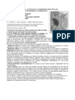 07 - NUCLEO Y CICLO CELULAR - Soluciones Pau PDF