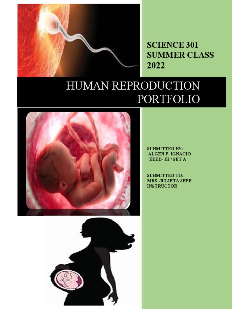 Human Reproduction Portfolio | PDF | Menstrual Cycle | Ovary