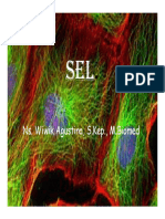 Sel PDF