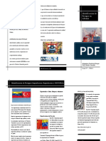 Indetificacion de Riesgos - Grupo 1 PDF