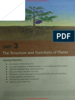 ICSE Class 6 Biology Chapter 3 The Structure and Functions of Plants