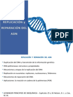 Química-Replicación y Reparación Del Adn - 22-23