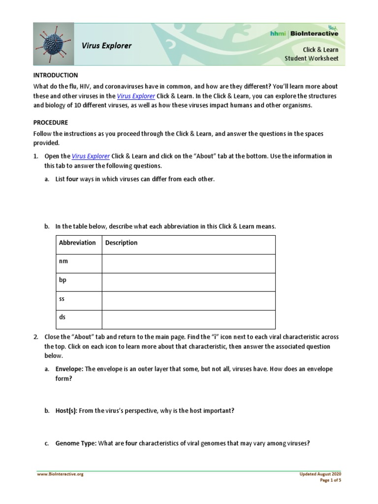 Virus Explorer Student Worksheet | PDF | Virus | Adenoviridae