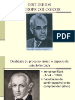 Distúrbios neuropsicológicos: a evolução do entendimento sobre agnosia e processamento visual