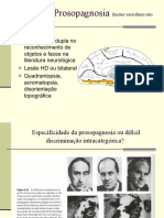 Reconhecimento Facial e suas Perturbações