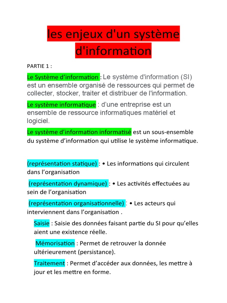 Enjeux du Système d'Information | PDF | Ordinateurs