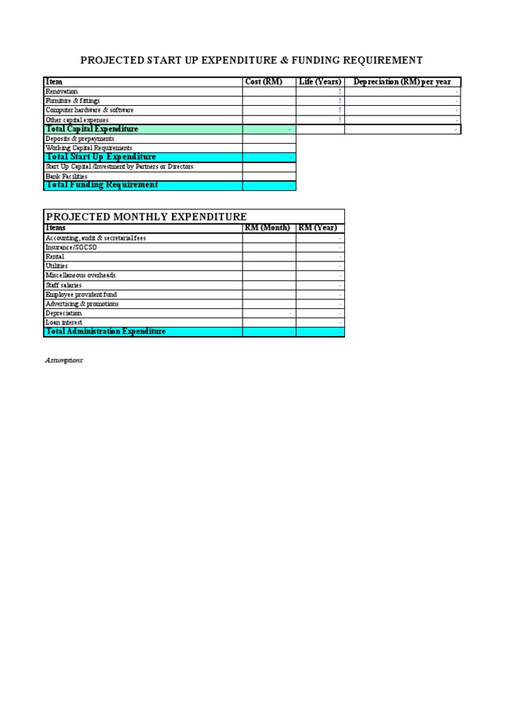 Financial Template PDF Expense Revenue