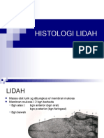 Histologi Lidah