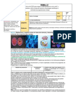 Area Ciencia y Tecnologia Nº-37-3º PDF