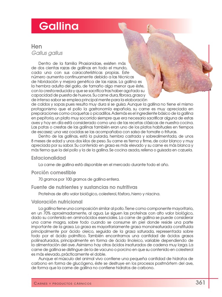 Gallina tcm30-102479 PDF | PDF | Carne | Pollo