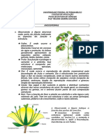 Partes da planta angiosperma e suas funções