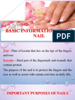 Basic Information About Nail Lesson 3
