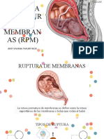 Tema de Presentacion RPM