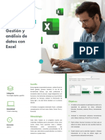 Brochure PIV - Gestión y Análisis de Datos Con Excel PDF