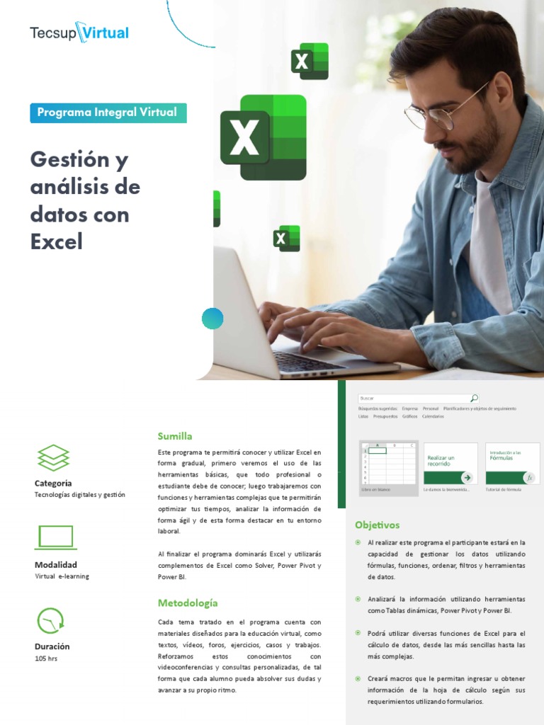 Brochure PIV - Gestión y Análisis de Datos Con Excel PDF | PDF ...