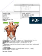 Músculos do Dorso em
