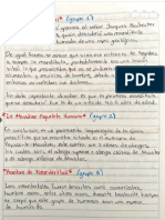 Conclusiones de Las Presentaciones, Geografía... Nathalie Aguirre