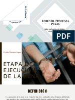 Fase de Ejecucion PDF