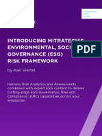ESG Risk Framework