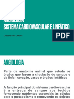 angiologia e cardiovascular e linfatico