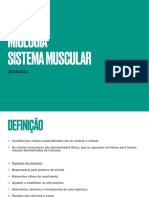 Miologia Sistema Muscular