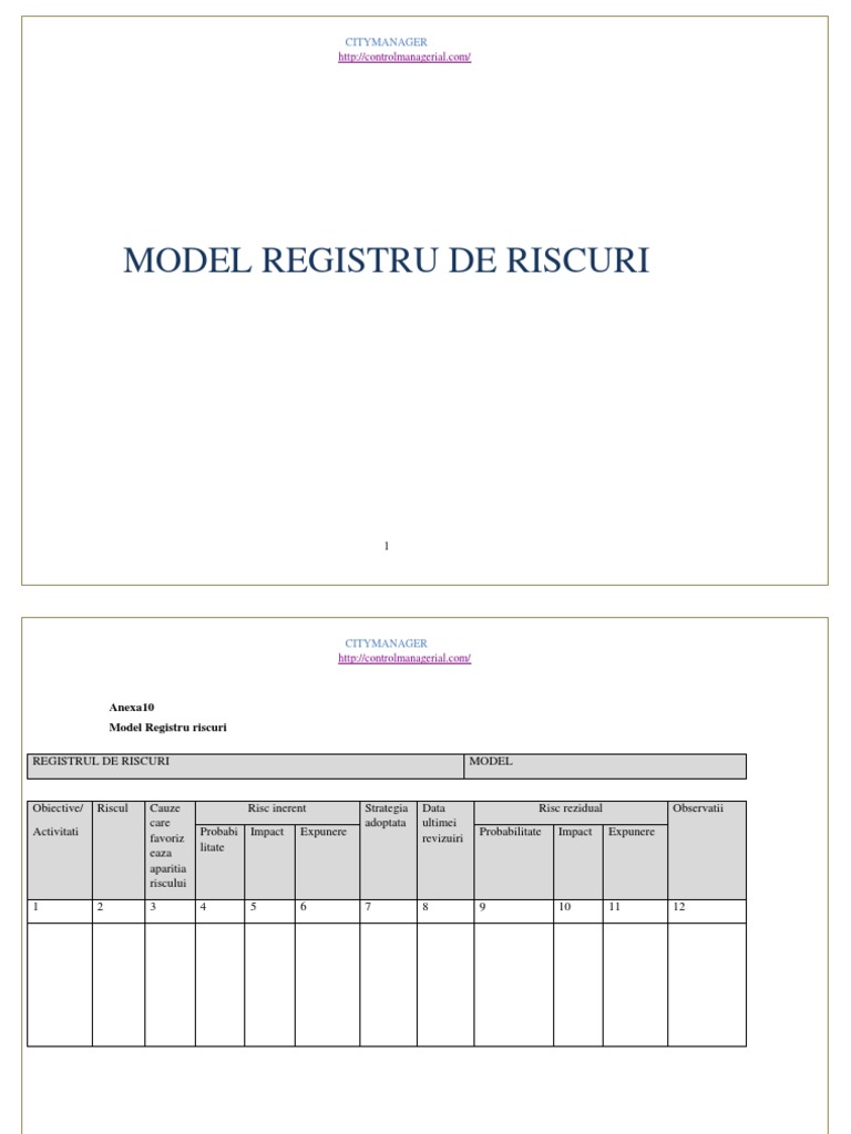 Model Registru de Riscuri | PDF
