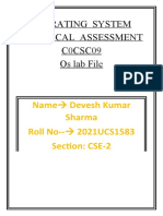 Operating System Practical Assessment