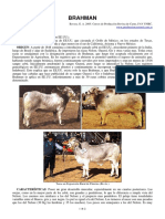 25 Brahman1 PDF