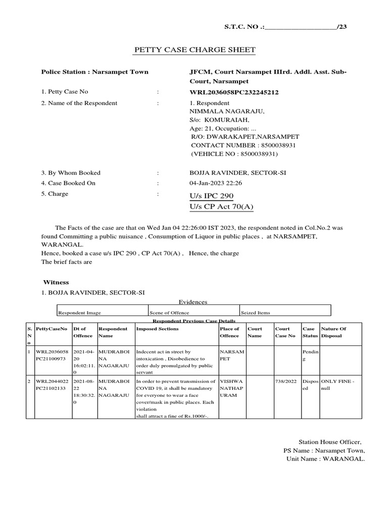 Charge Sheet PDF Government Criminal Justice