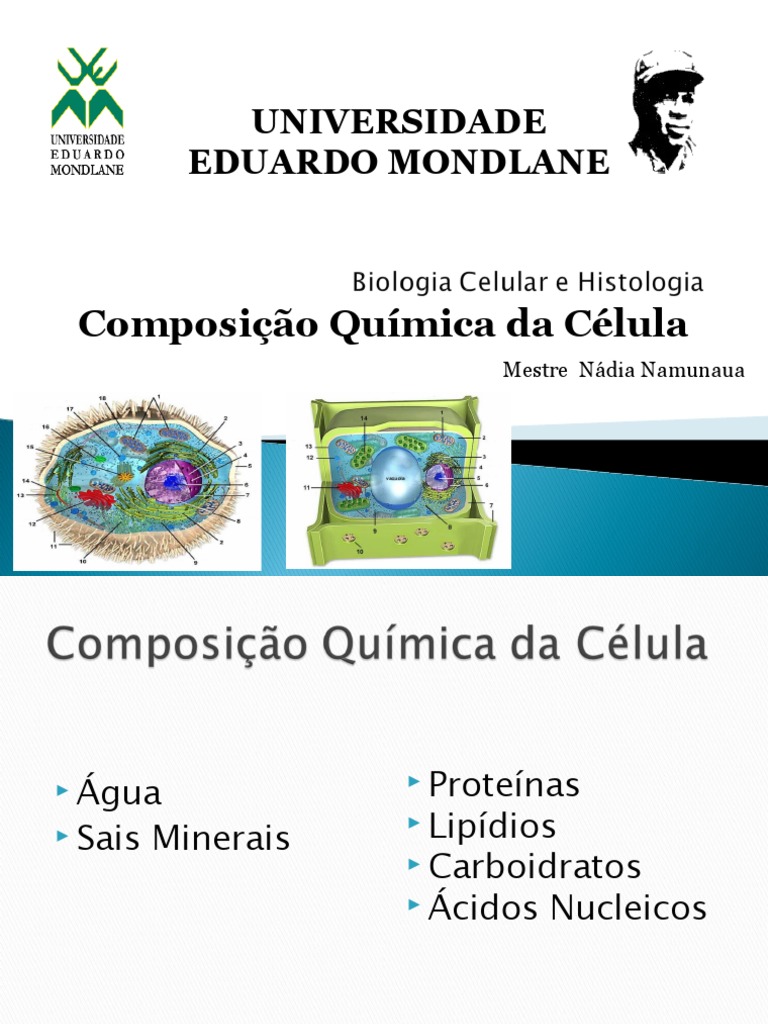 Composição Química Da Célula | PDF | RNA | Membrana celular