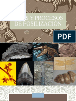 Tipos y Procesos de Fosiolización