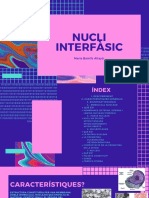 Nucli Interfàsic PDF