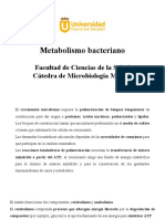 Metabolismo Bacteriano