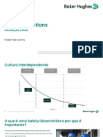 HSE Observations - PT PDF