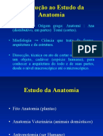 Introdução à Anatomia Humana