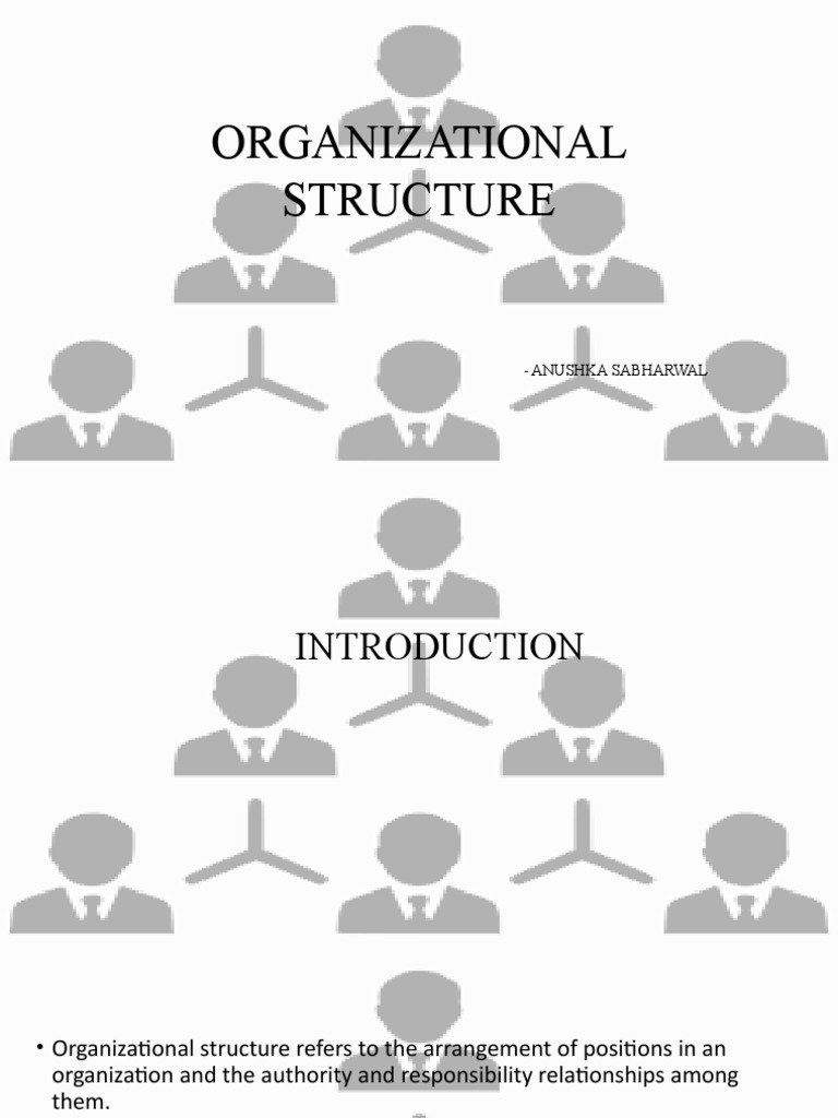 Organizational Structure | PDF