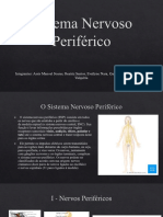 Funções dos principais nervos cranianos