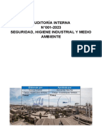 Informe Auditoria Polimerizacion Febrero-23