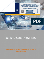 Atividade Prática - Bovinocultura Suinocultura e Avicultura