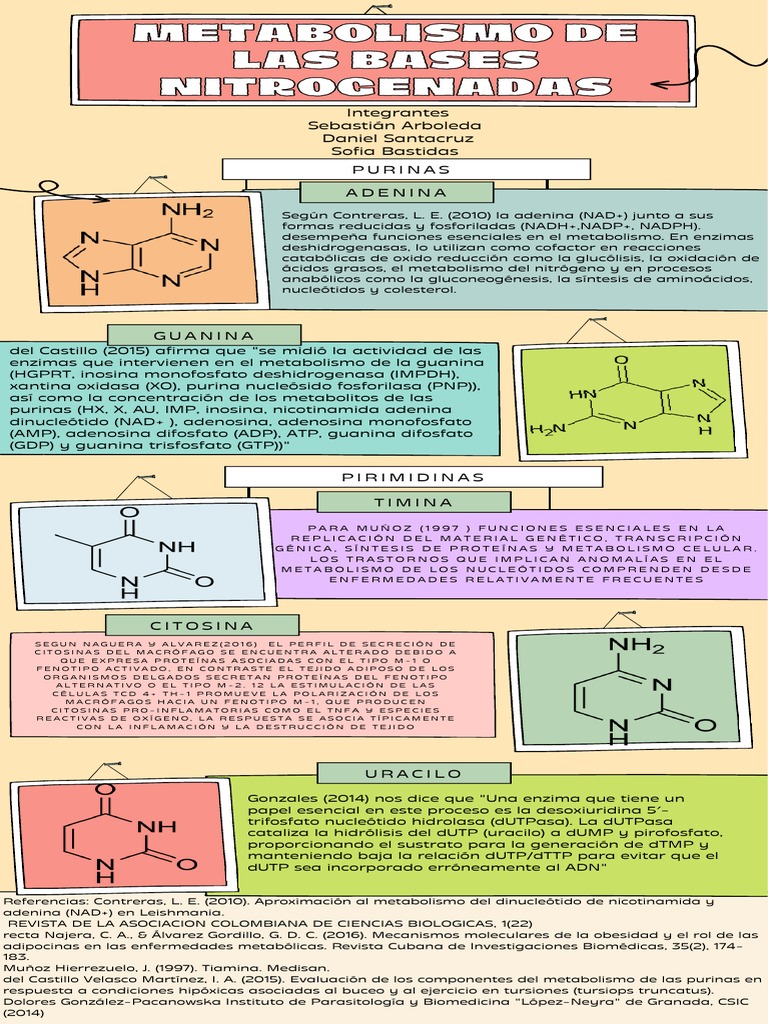 Infografia Final Bioquimica PDF PDF Metabolismo Nicotinamida