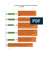 Contaminantes de La Carne