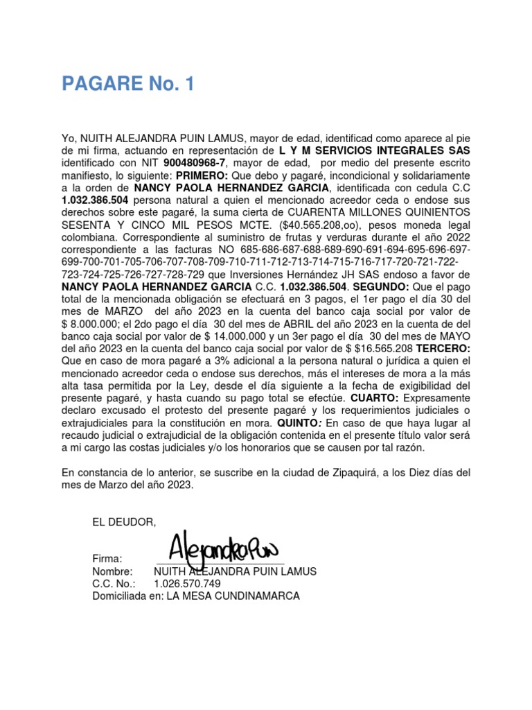Pagare en blanco y carta de instruccion lym 2023 descargar gratis pdf