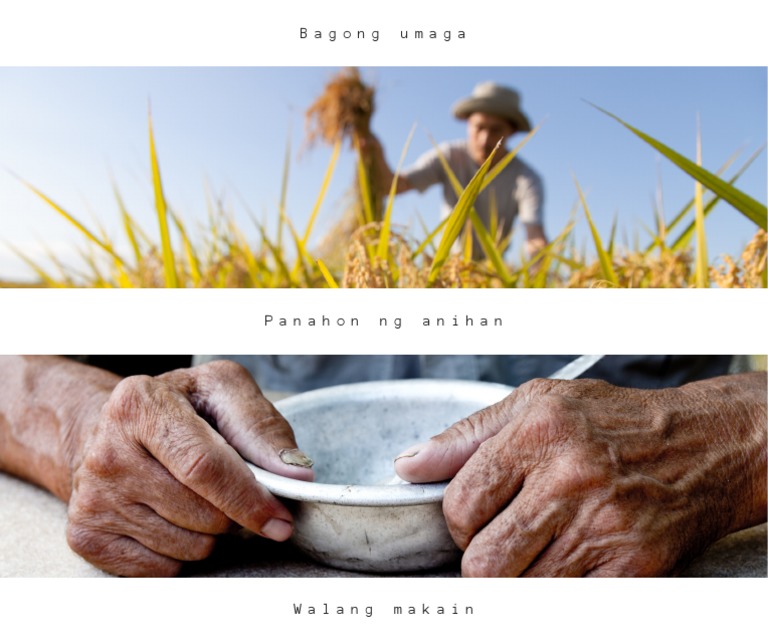 Haiku Tungkol Sa Mga Magsasaka | PDF