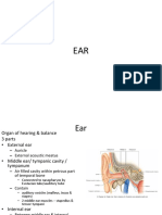 Ear & Pathway of Hearing and Balance