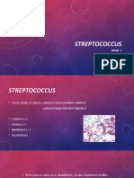 2streptococcus LINEA